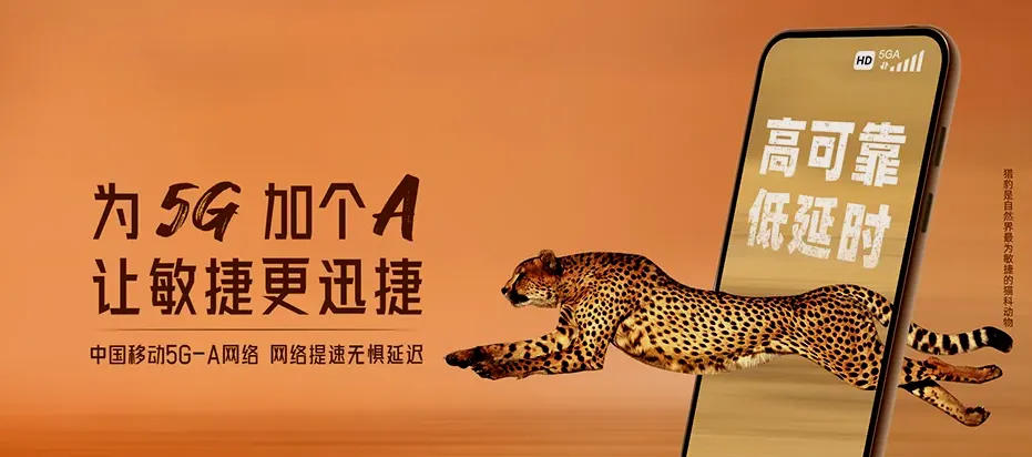 甘洛县甘洛县新茶乡 移动宽带